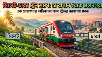 সিলেট থেকে ঢাকা ট্রেনের সময়সূচী ,ভাড়া, টিকিট